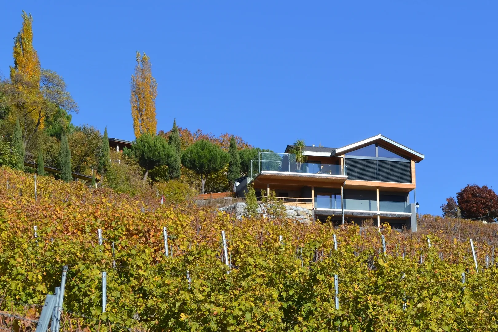 Villa au milieu des vignes valaisannes